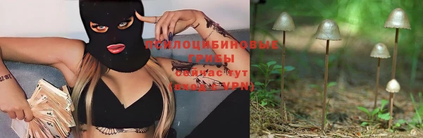 амф Абаза