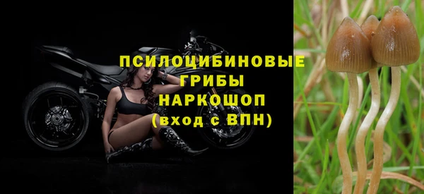 амф Абаза