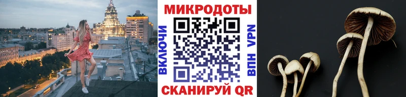 Галлюциногенные грибы GOLDEN TEACHER  гидра ССЫЛКА  Покачи 